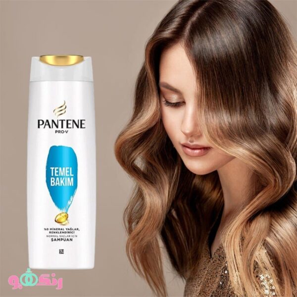 Pantene Temel Bakim 2