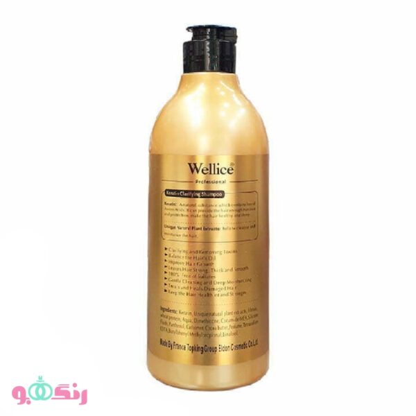 wellice keratin 2