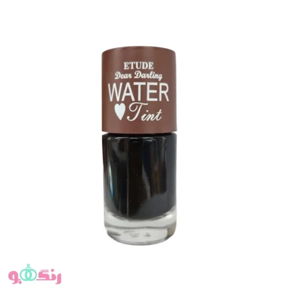 Etude House Water Tint Brown